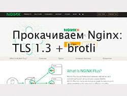 Прокачиваем Nginx: TLS 1.3 + brotli